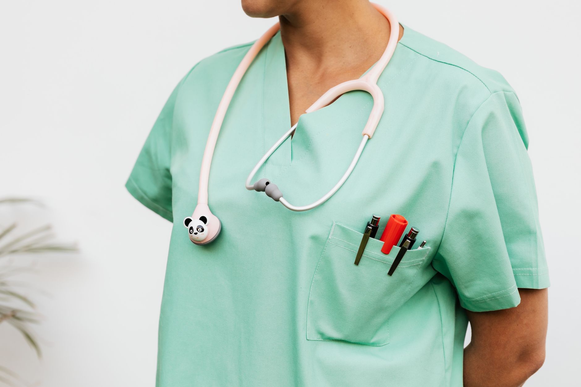 A flowchart of four fast-track nursing paths &mdash; ABSN, ADN, LPN-to-RN, and direct-entry MSN &mdash; all converging on the NCLEX-RN