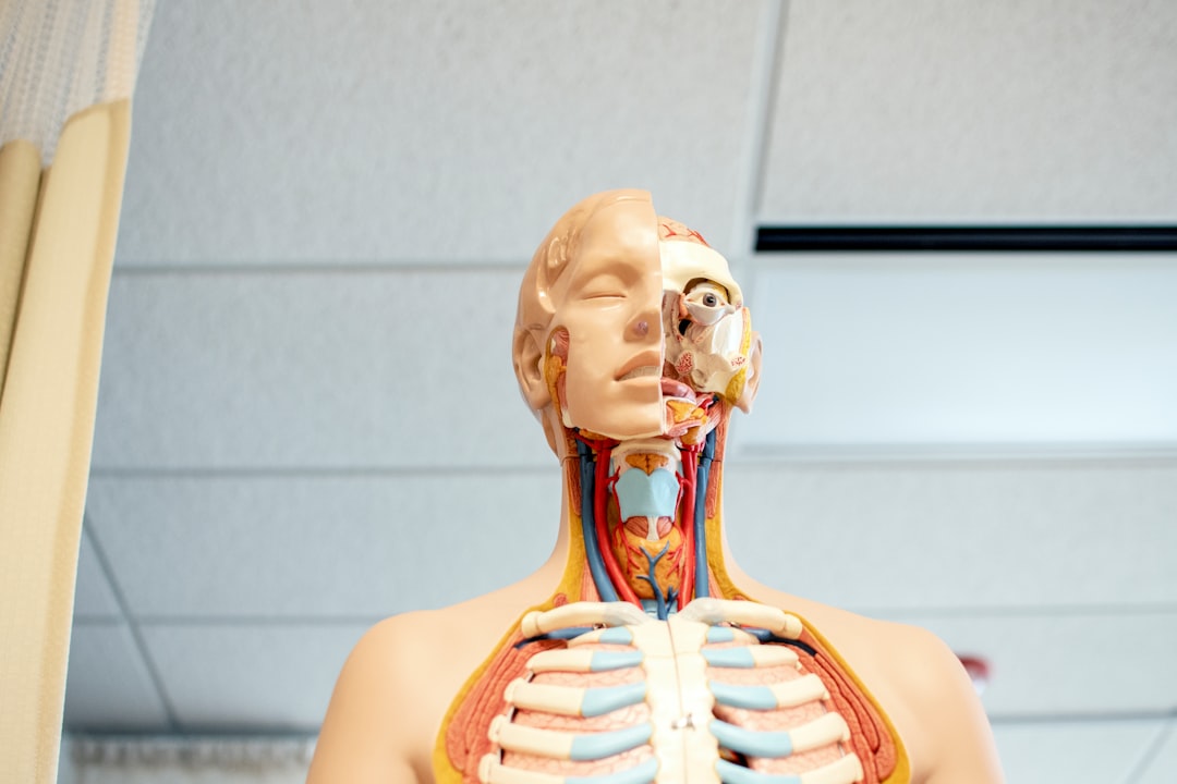 TEAS 7 Anatomy and Physiology: Body Systems, Types & 4-Week Plan
